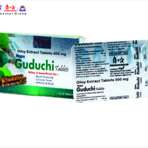 NAPO GUDUCHI 500 MG TABLETS