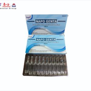NAPO GENTA INJECTION